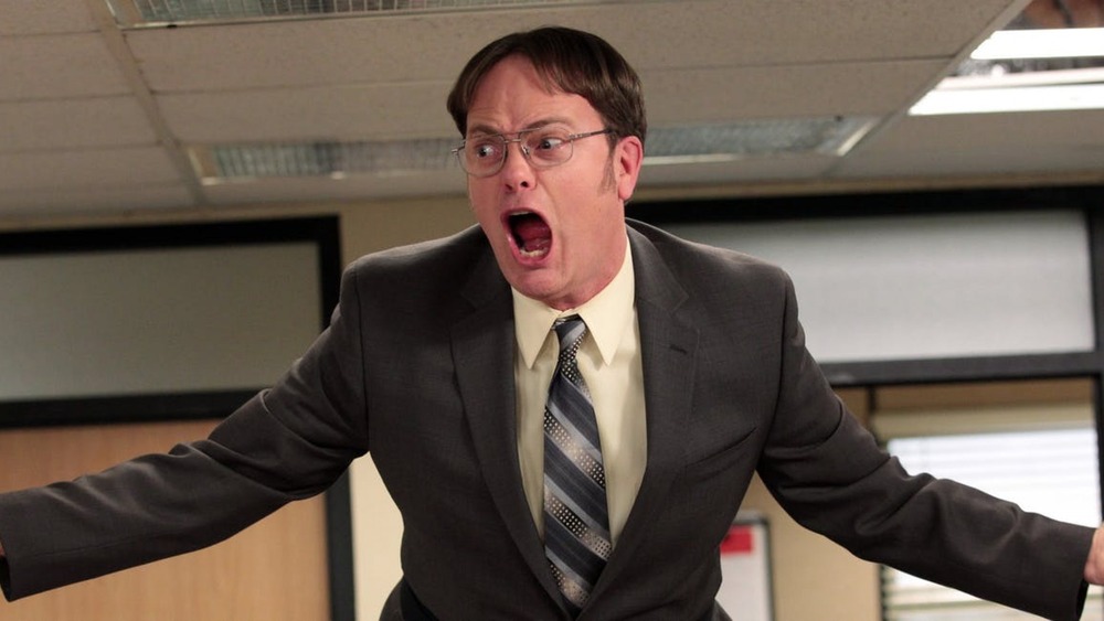 Rainn Wilson as Dwight Schrute on The Office