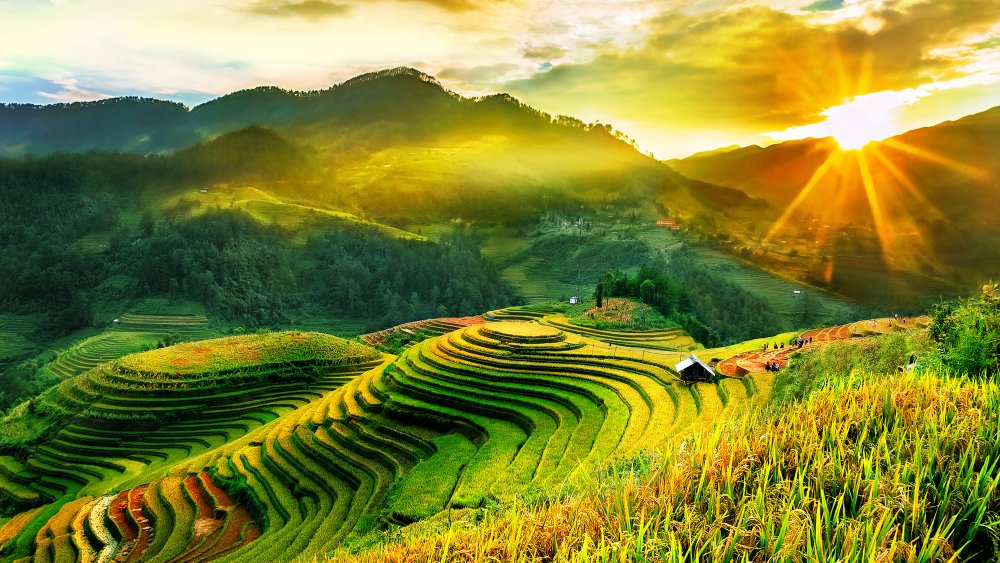 An image of Vietnam, one of the countries that inspired Raya and the Last Dragon