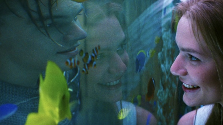 Romeo and Juliet look through fishtank