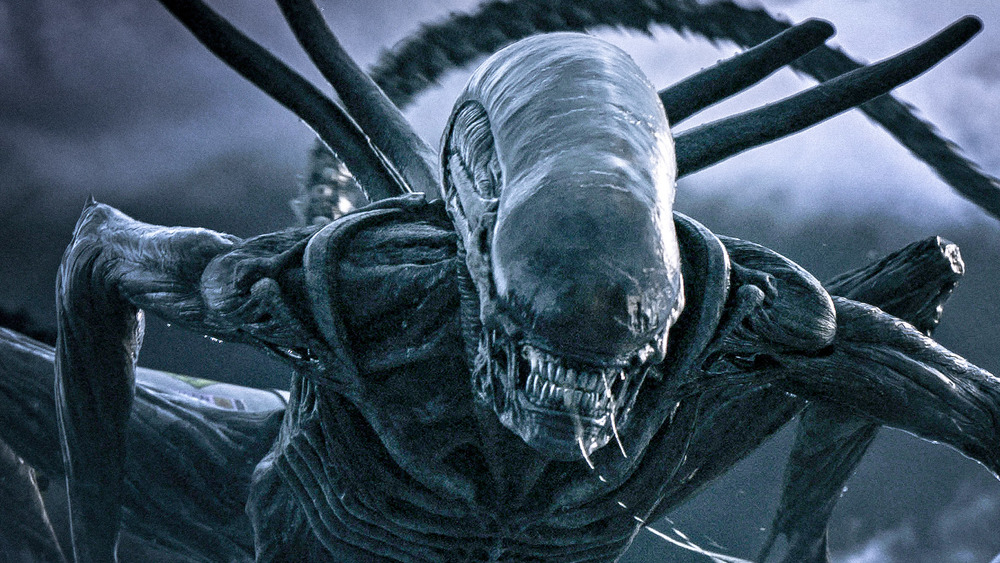 Xenomorph snarling