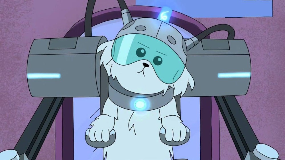 Snowball in Rick and Morty