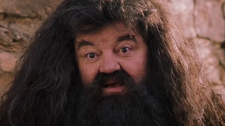 Hagrid looks reassuring