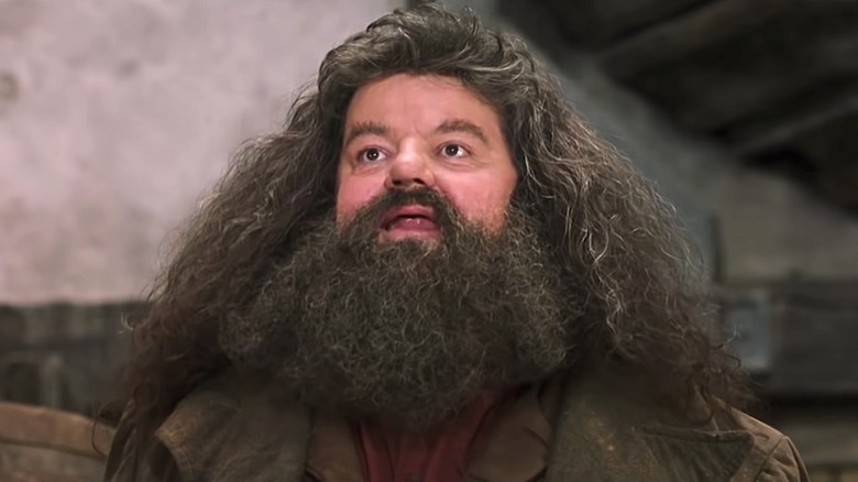 Hagrid smiling in Harry Potter