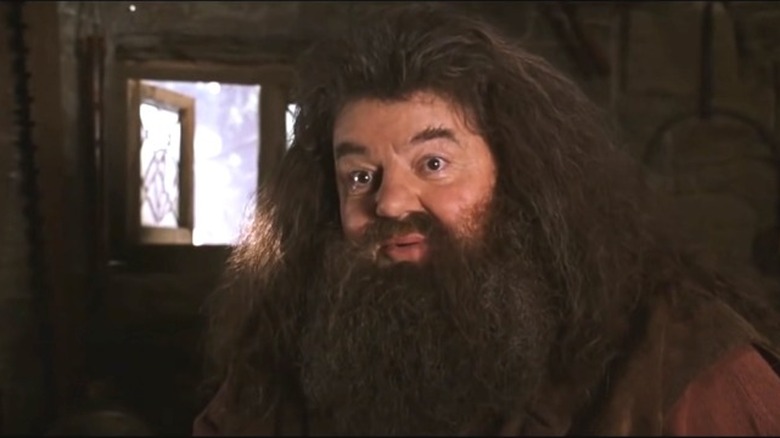 Robbie Coltrane as Hagrid in Harry Potter and the Chamber of Secrets