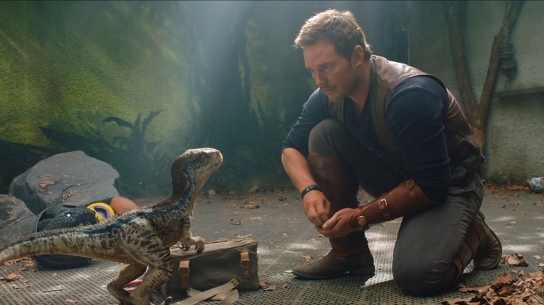 Chris Pratt tending to a baby raptor