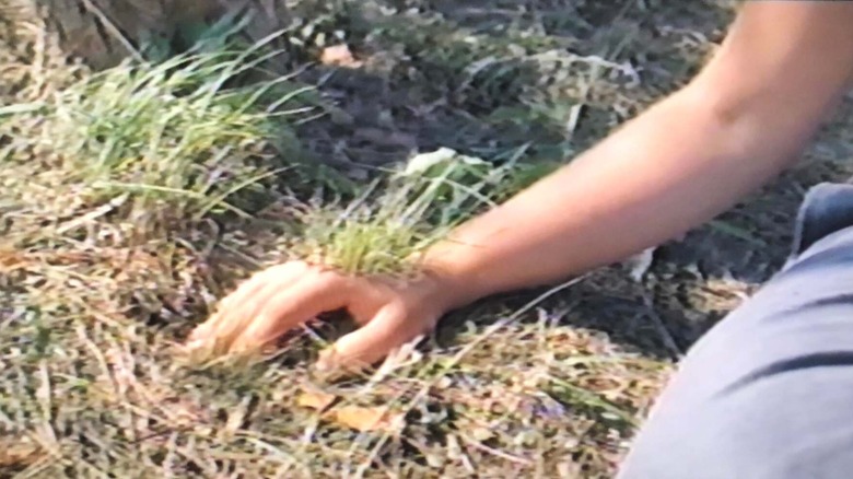 Grass growing on hand