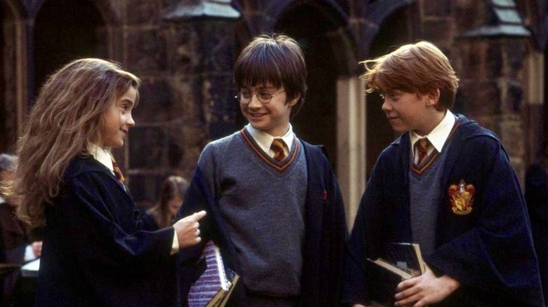 hermione, harry, and ron in first year