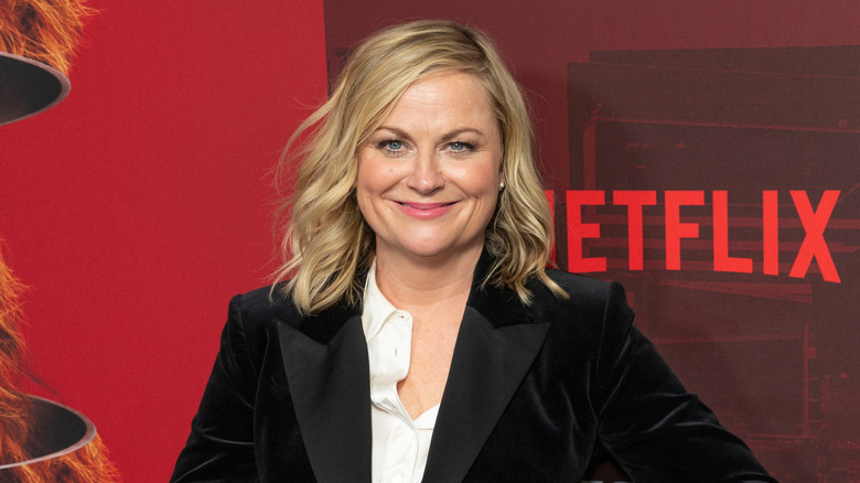 Amy Poehler smiling