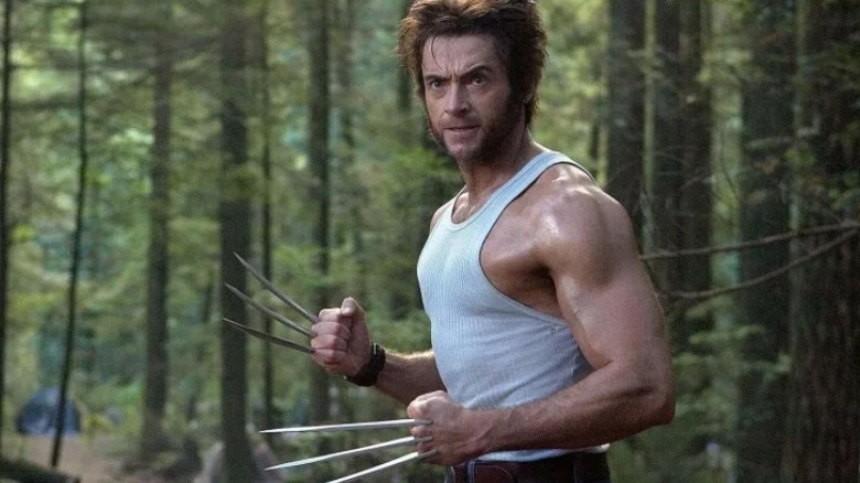 Wolverine in the woods