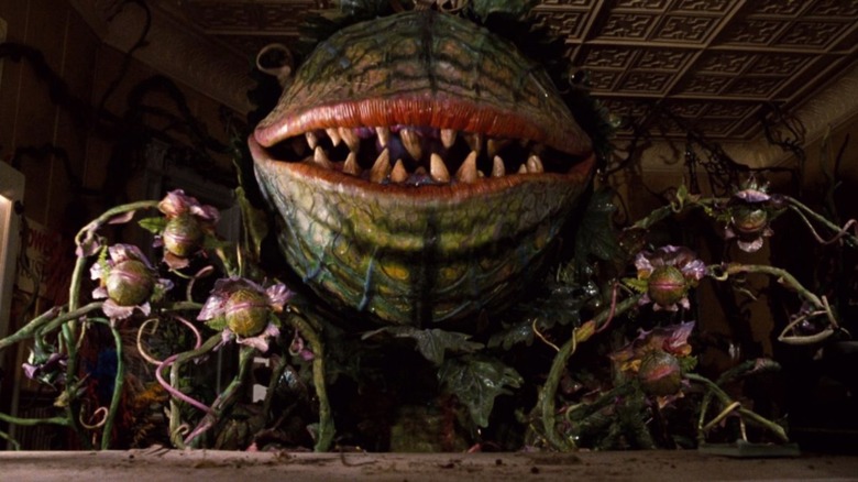 Audrey II singing with buds