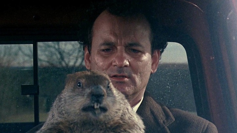 Phil Connors drives with groundhog