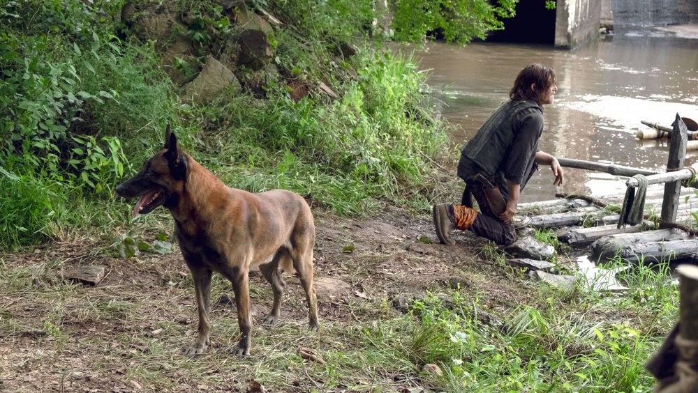 Daryl and Dog