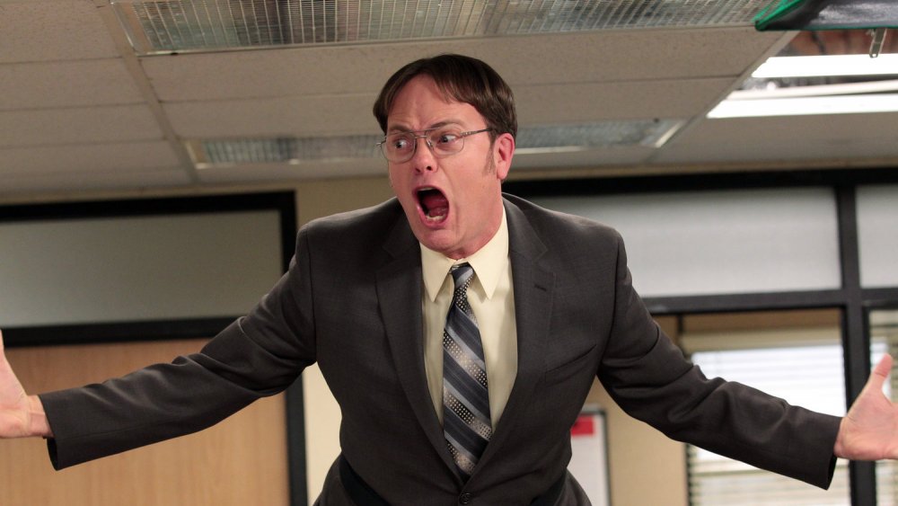 Rainn Wilson as Dwight Schrute on The Office