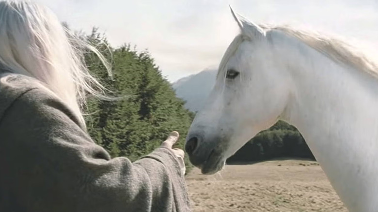 Gandalf and Shadowfax in field