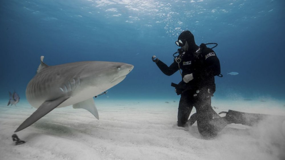 Paul de Gelder and friend