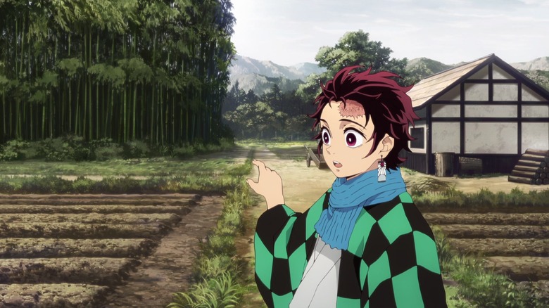Tanjiro points at a field 