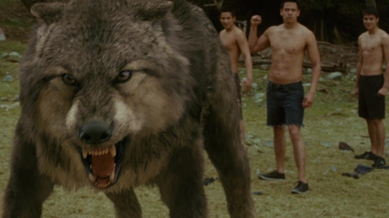 Quileute werewolf pack