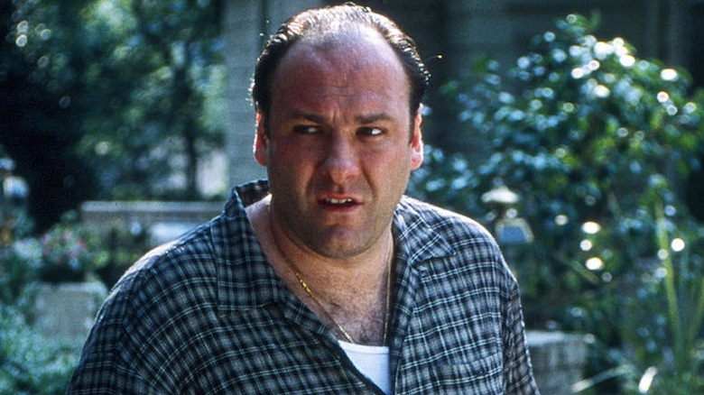 James Gandolfini in The Sopranos