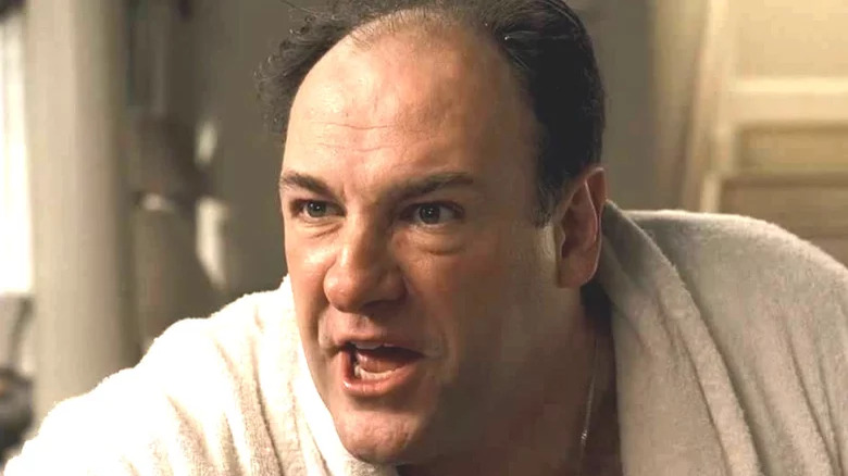 Tony Soprano argues