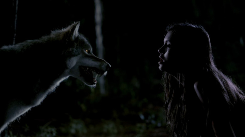 Nina Dobrev's Elena faces down a werewolf on The Vampire Diaries