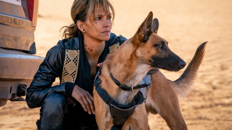 Halle Berry and Belgian Malinois 