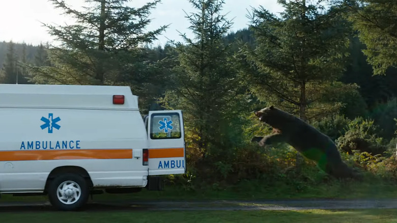 Bear leaping towards ambulance