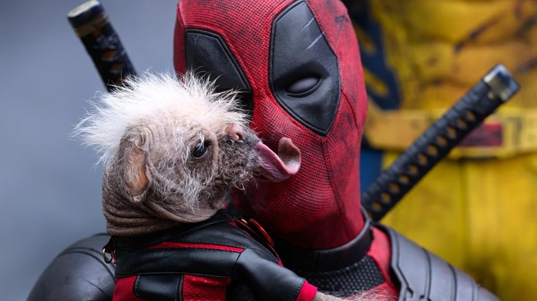 Deadpool holding a licking Dogpool