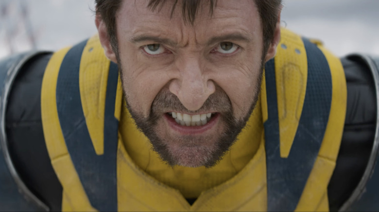 Wolverine snarling looking mad