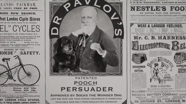 Dr. Pavlov's famous invention.