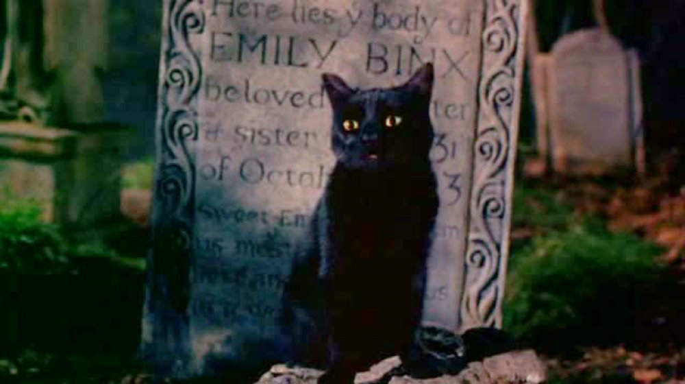 Binx the cat on Emily Binx's grave in Hocus Pocus