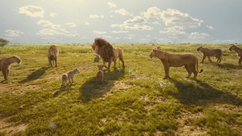 Obasi's pride gathered around him in Mufasa: The Lion King