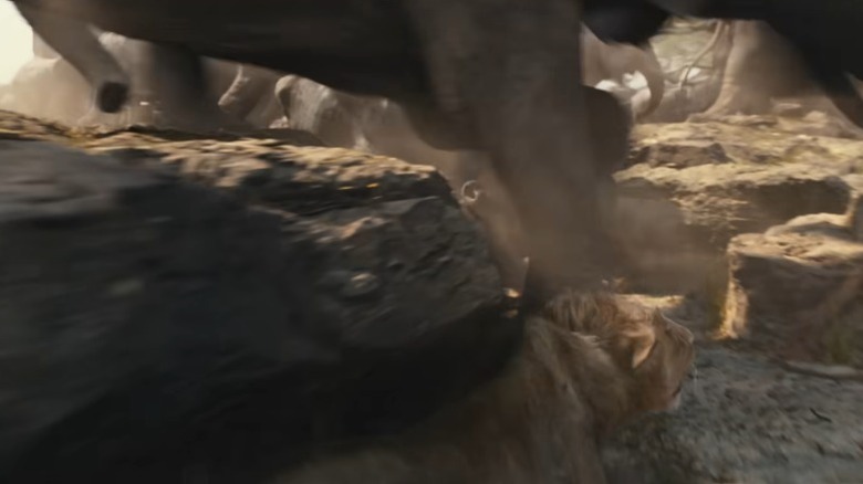 Mufasa: The Lion King's Taka hiding from an elephant stampede