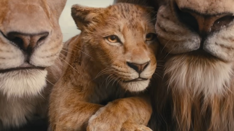 Young Mufasa lying between his parents and smiling in Mufasa: The Lion King