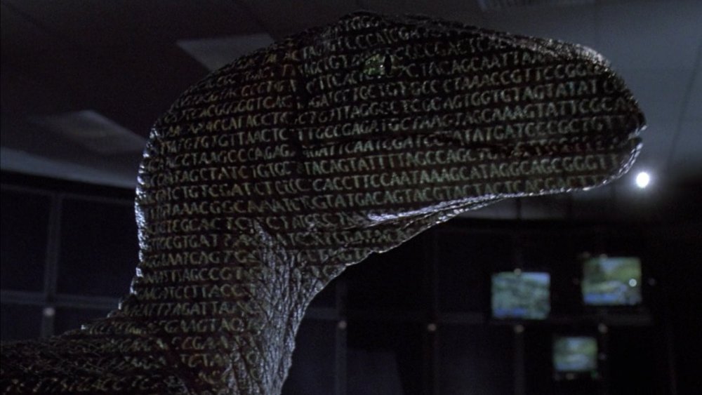 The raptor DNA projection