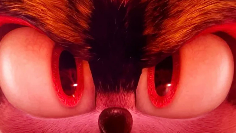 Shadow the Hedgehog's eyes