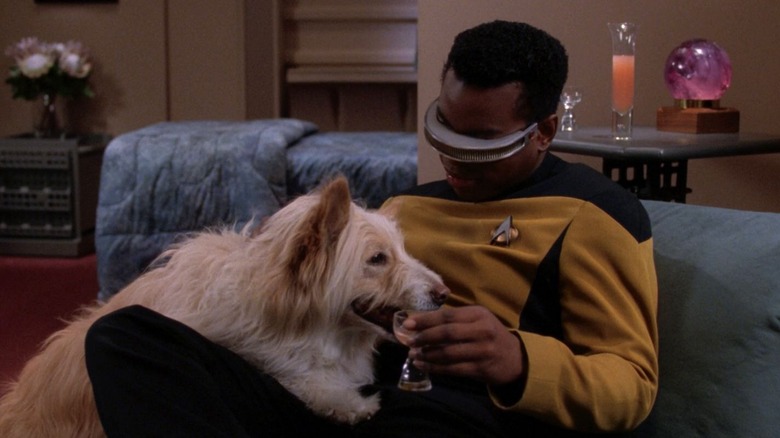 Geordi pets a dog