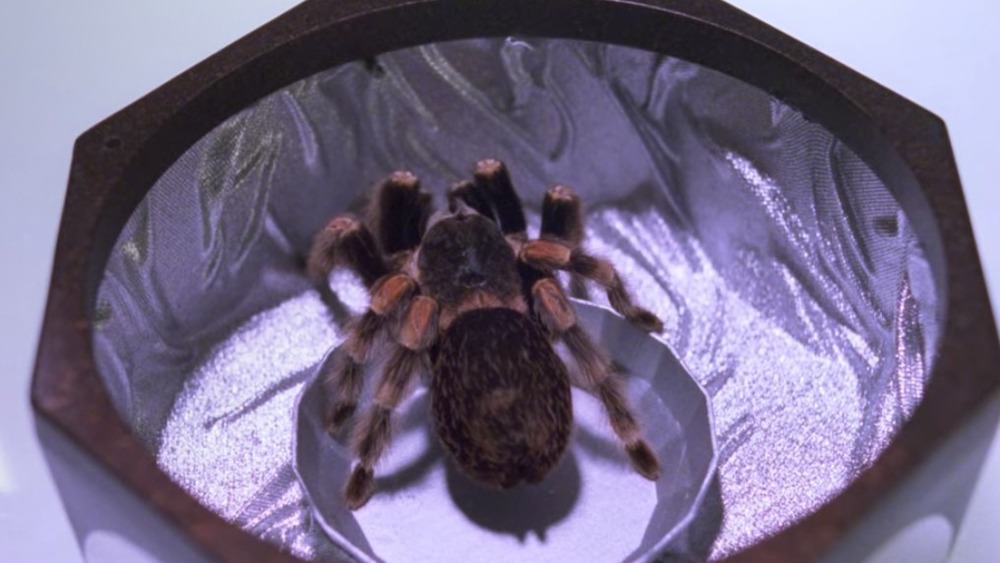 Christina the tarantula in Star Trek: The Next Generation