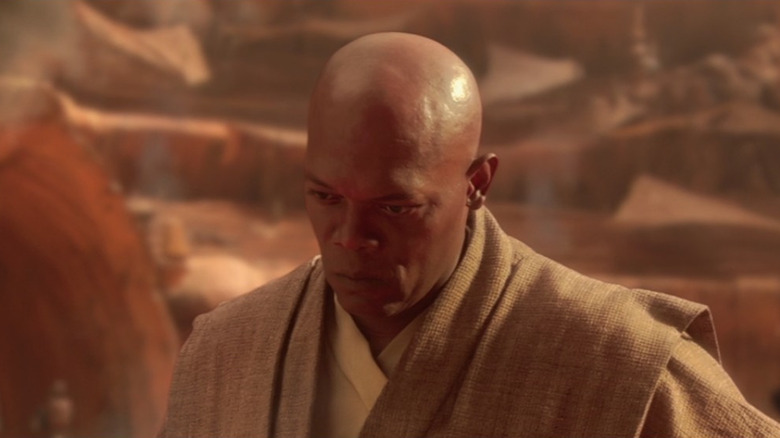 Mace Windu looking down