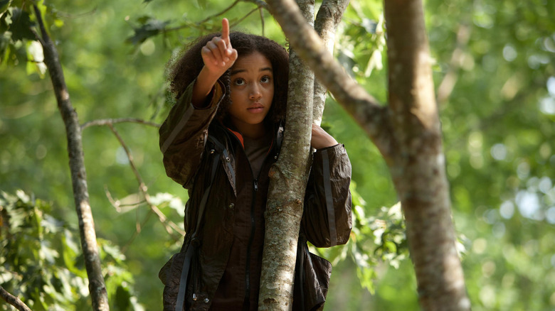 Rue climbing a tree