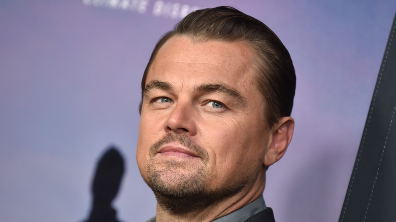 Leonardo Dicaprio smirking