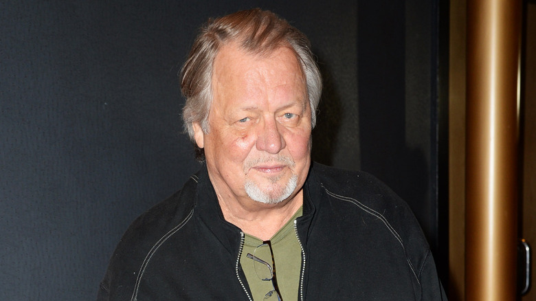 David Soul posing