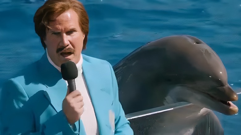 Ron Burgundy holding microphone next to dolphin