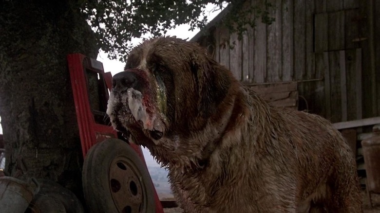 Cujo in "Cujo"