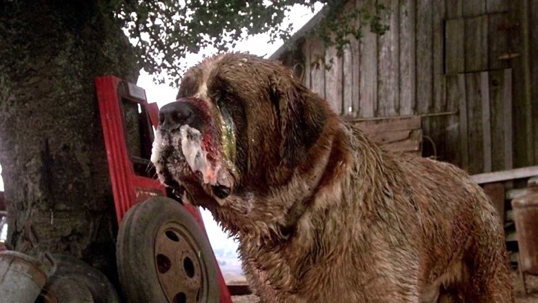 Cujo