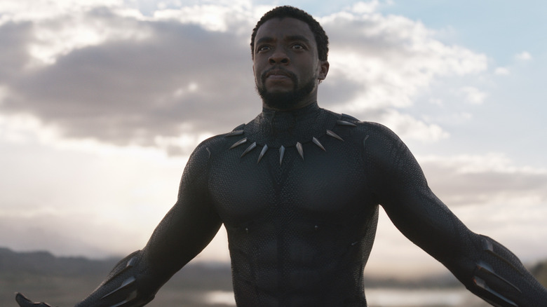 T'Challa holding arms wide