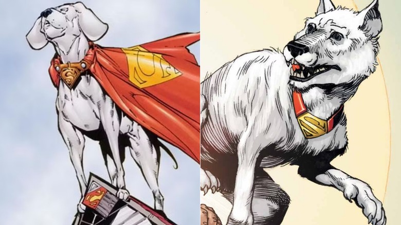 Two distinct versions of Krypto in DC Comics side-by-side