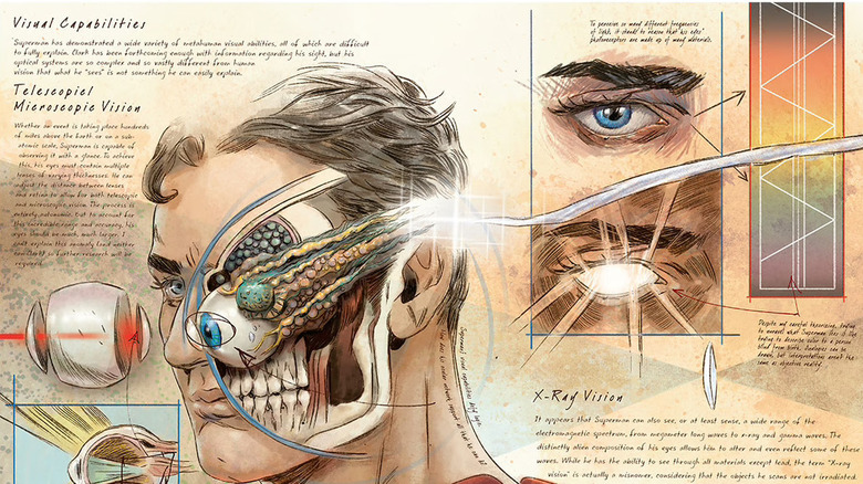 Cross-section of Superman's skull