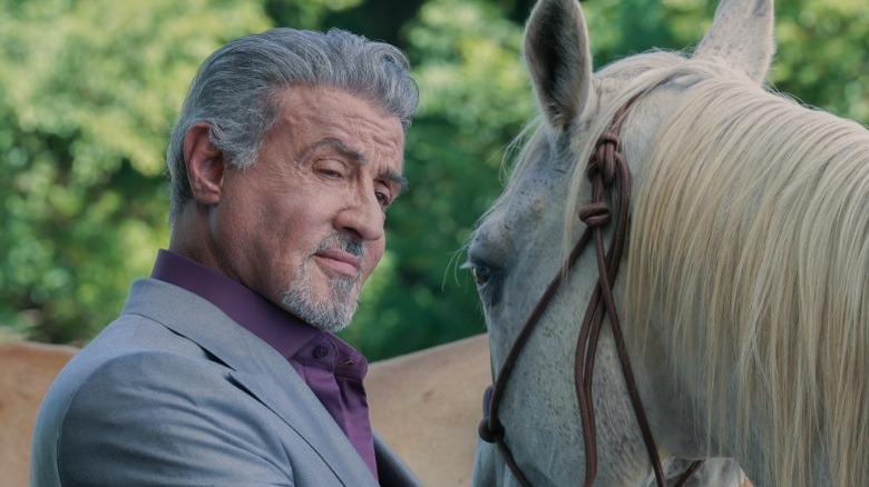 Sylvester Stallone grooming a horse