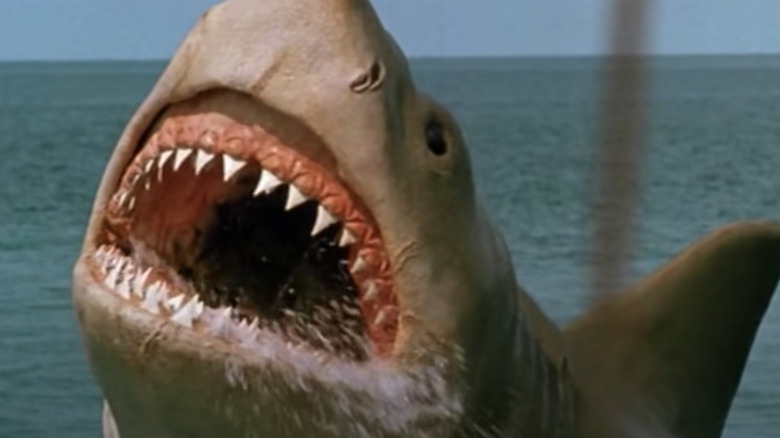 Take A Bite Out Of These Jaws: The Revenge Stories