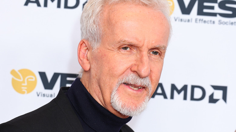 James Cameron at a premiere